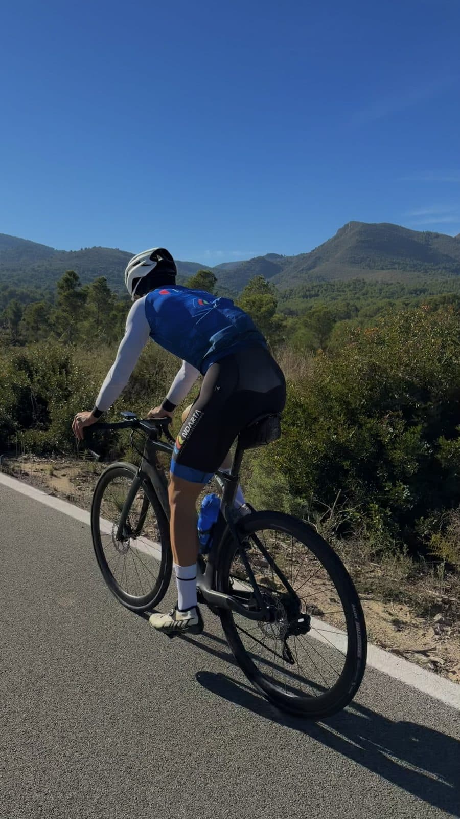 Ciclista subiendo un puerto, visto desde atrás
